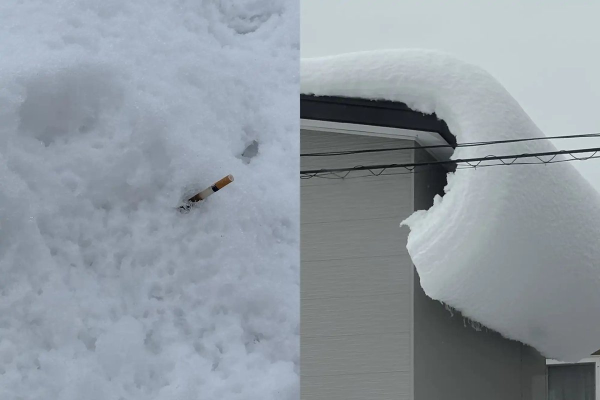 christina ᶻ 𝗓 𐰁 tweet media