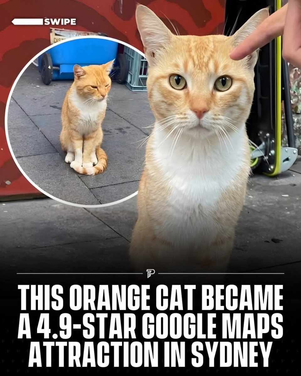 Cuzz Lightyur tweet media