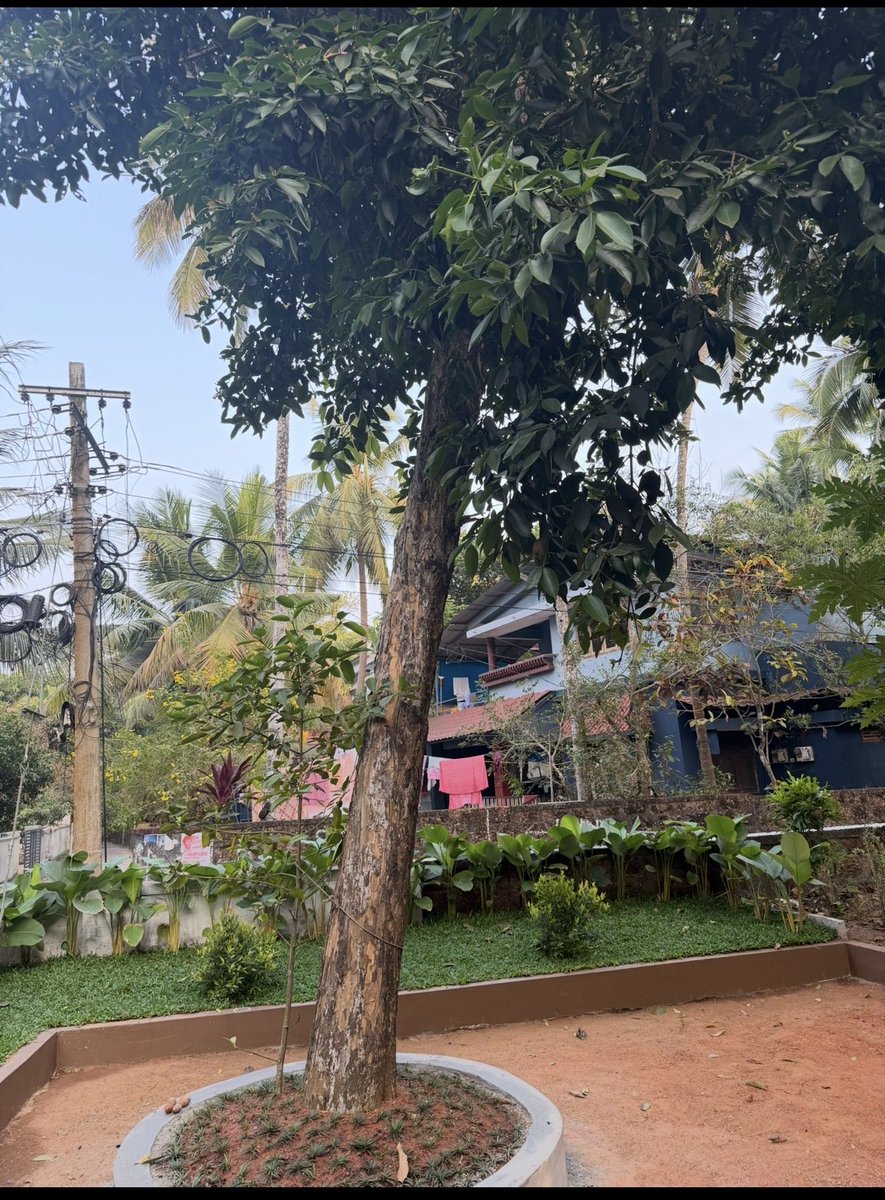 prakashraaj's tweet image. Visited the one and the only #VaikomBasheer sirs home.. spent time under his favourite mangosteen tree .. and had the honour of inaugurating his memorial museum.. bliss .. feeling blessed .. ❤️❤️❤️❤️. Have a great day all of you 🤗