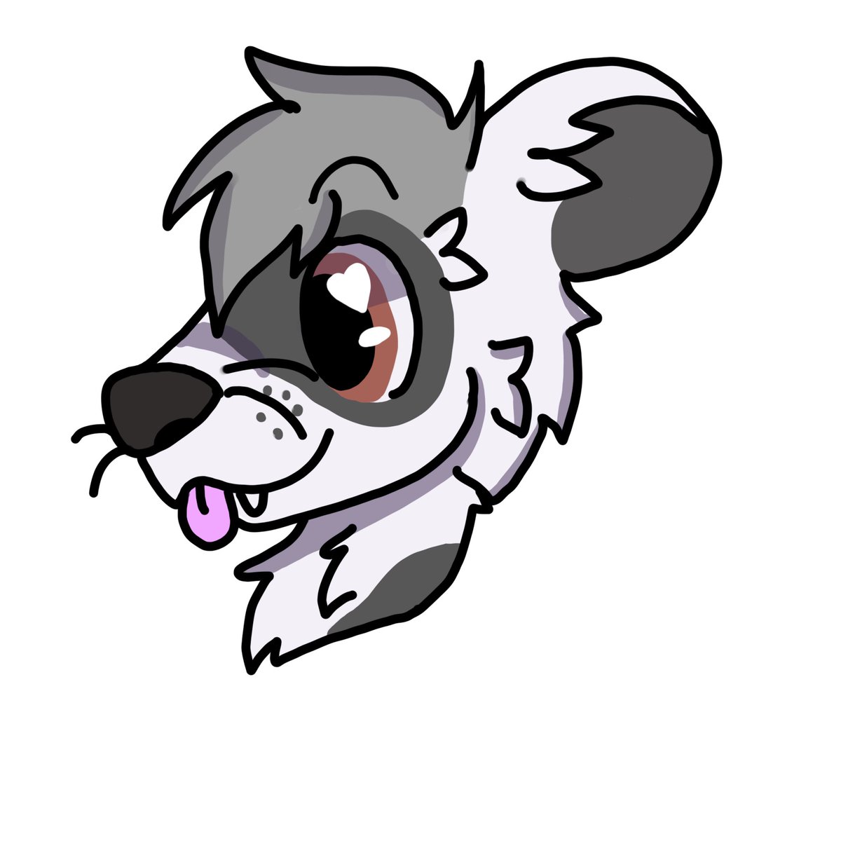 Luna the fox!! tweet media