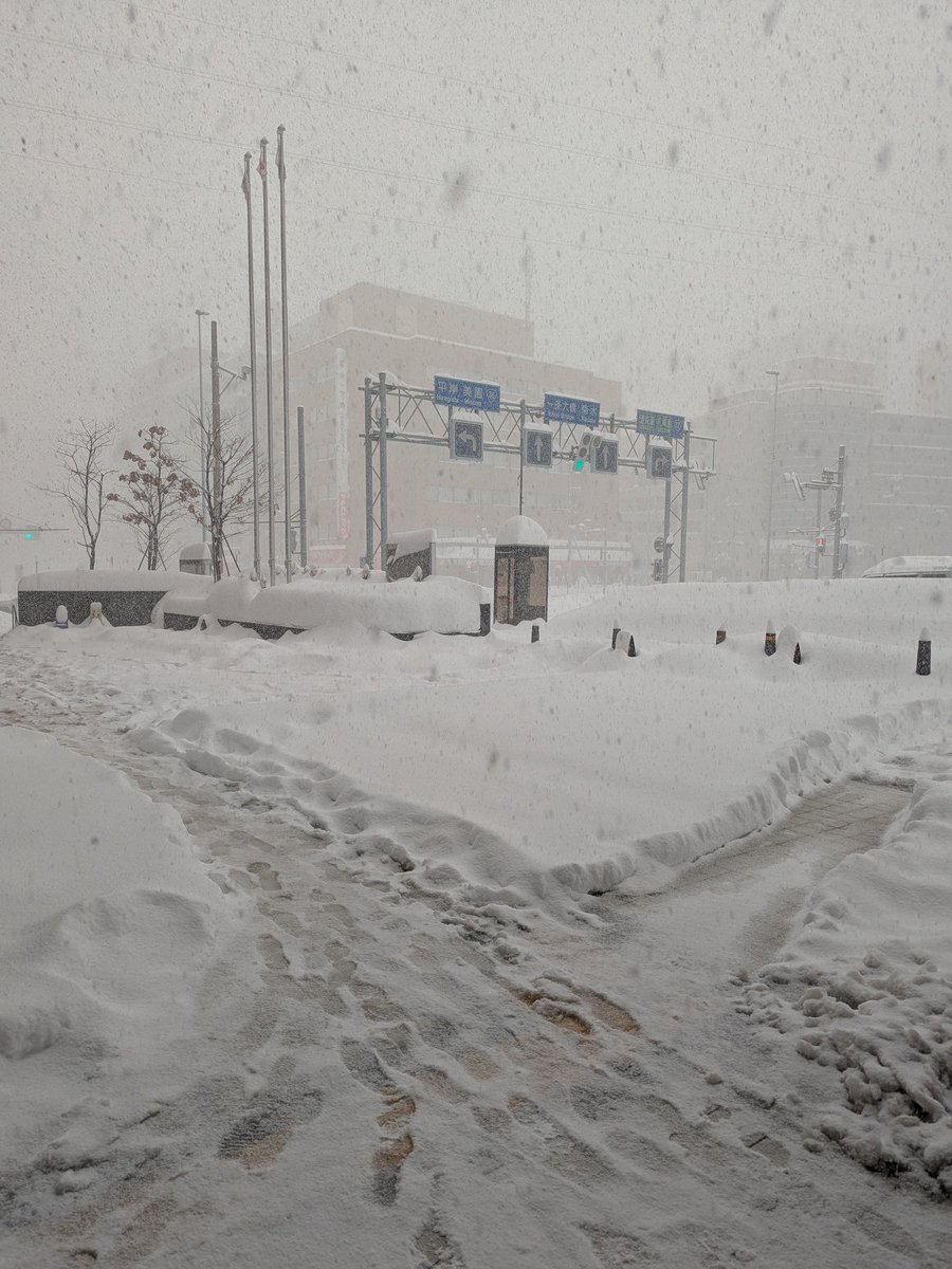 1/27付「 #しんぶん赤旗 」掲載記事 『北海道・災害級の大雪：欠航