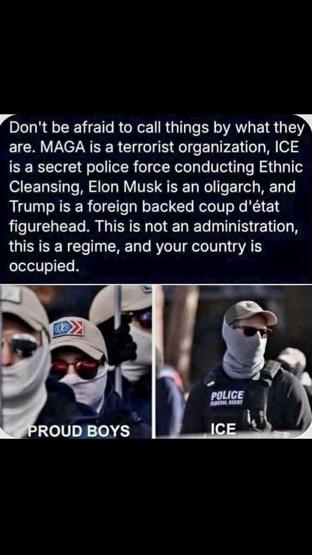 felipe 🇧🇷 🧙 tweet media