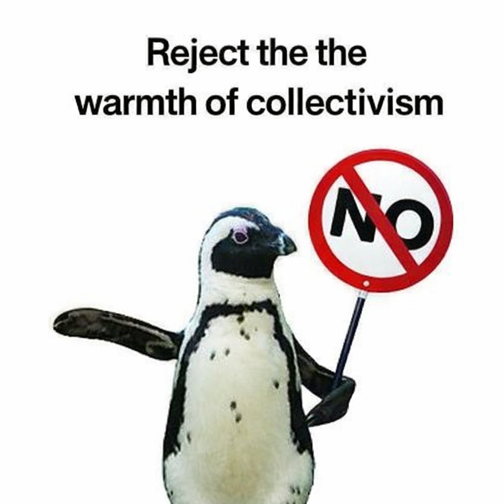 LeDeployer's tweet image. In this post, grok also talked about an armed bird rejecting the "warmth of collectivism"

I guess this is the meme??

x.com/i/grok/share/d…