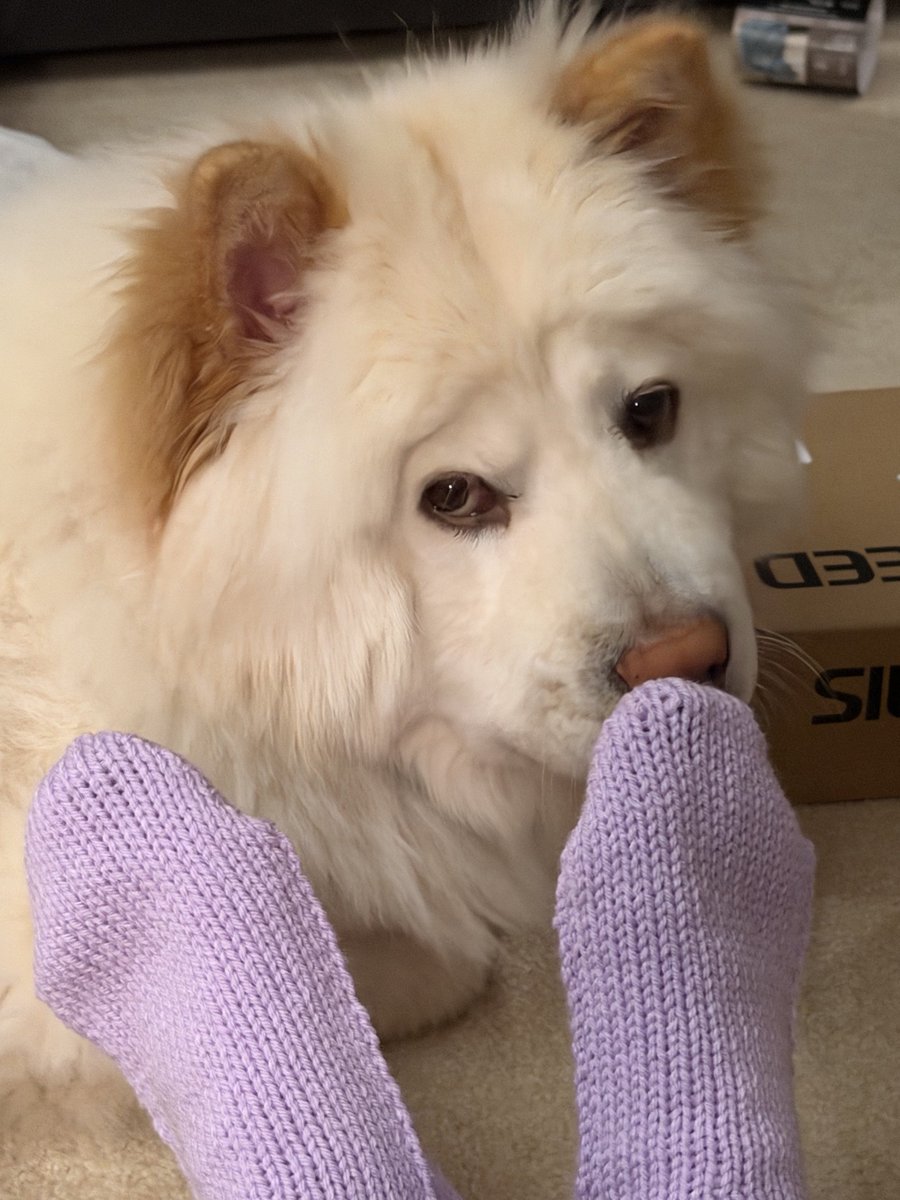 ellen yarnsphinx tweet media