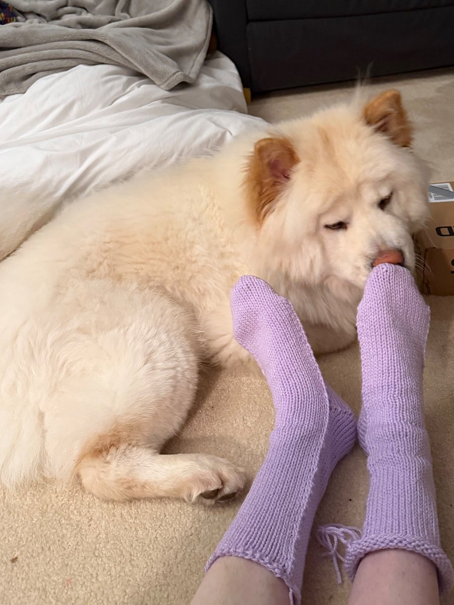 ellen yarnsphinx tweet media