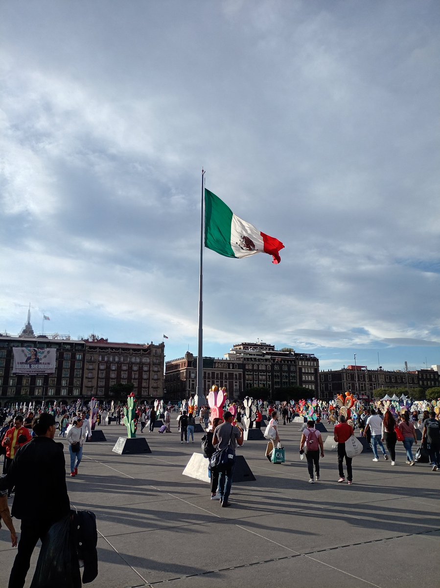 Israel RODI tweet media