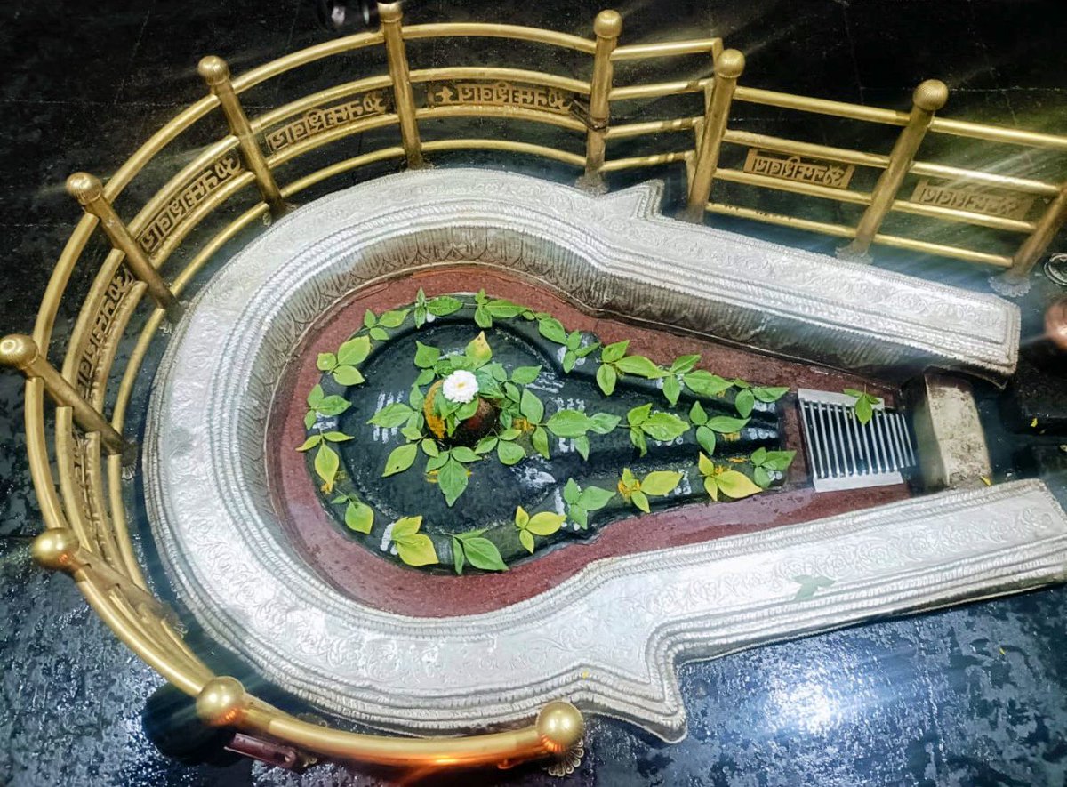 12Jyotirling's tweet image. श्री भीमाशंकर ज्योतिर्लिंग जी के आज के मंगला आरती श्रृंगार दिव्य दर्शन 25.01.2026