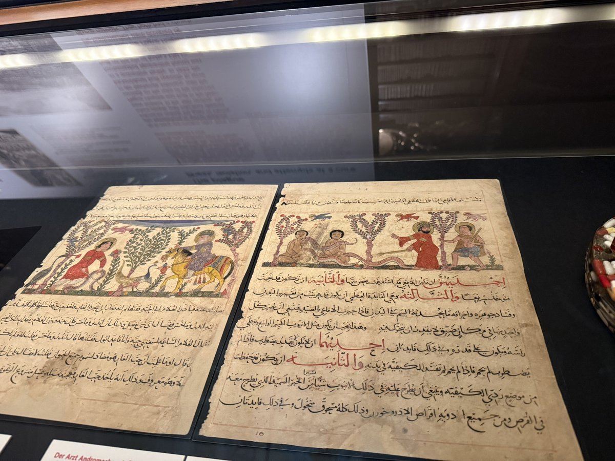 Wlayf Alsaqer tweet media