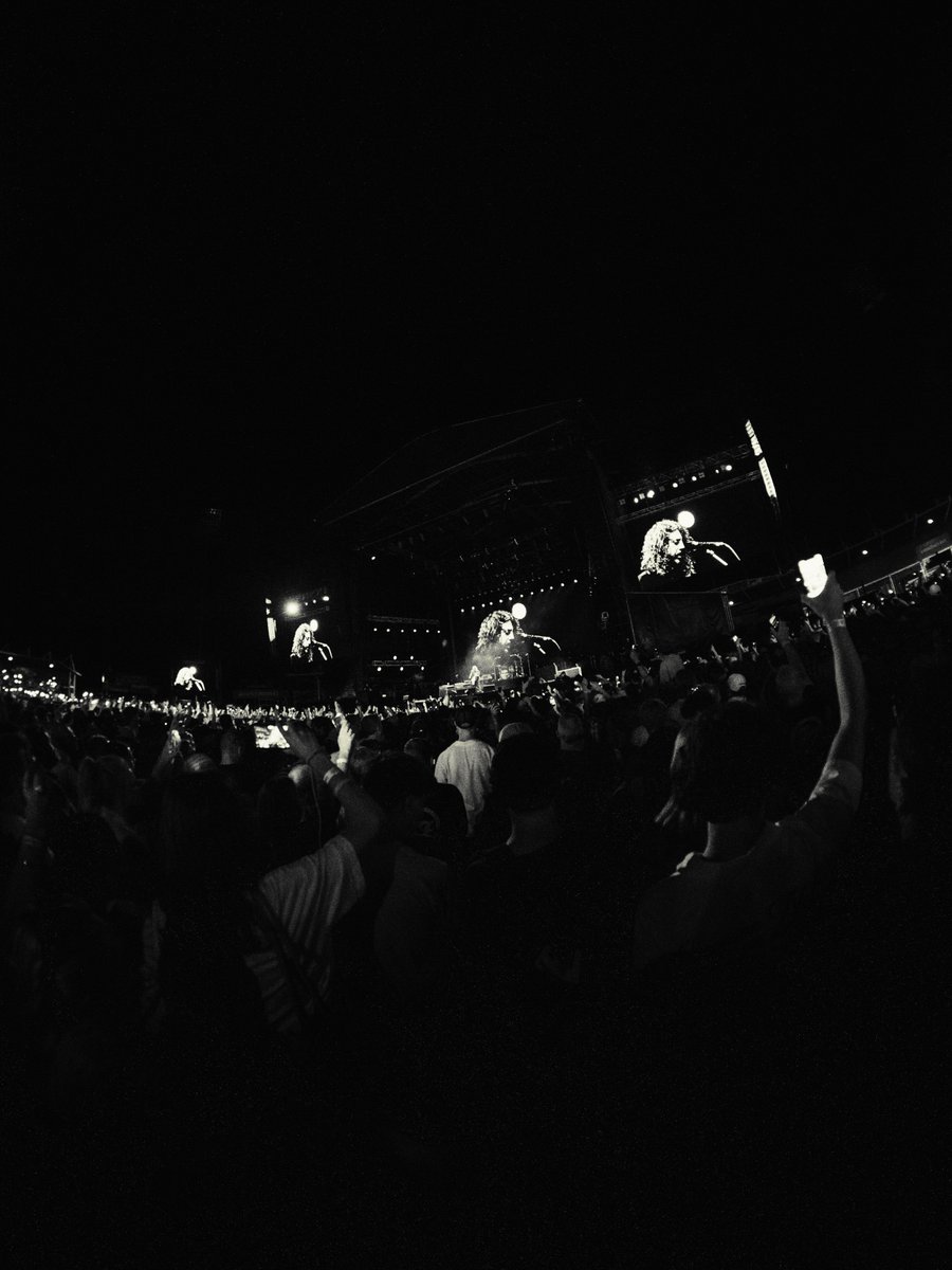 Foo Fighters tweet media