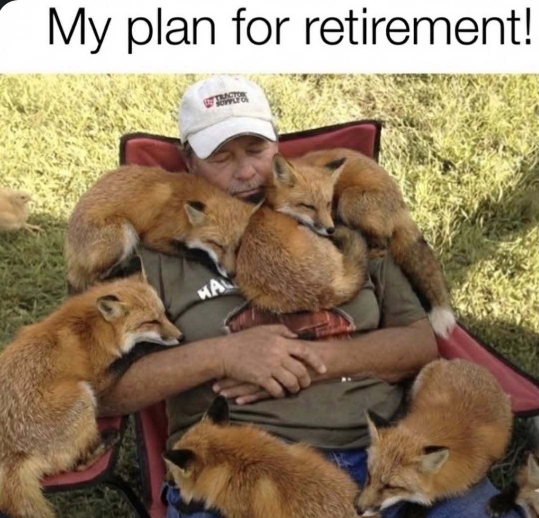 🍁 𝓣𝓱𝓮 𝓕𝓸𝔁 𝓛𝓲𝓯𝓮 🌾🦊 tweet media