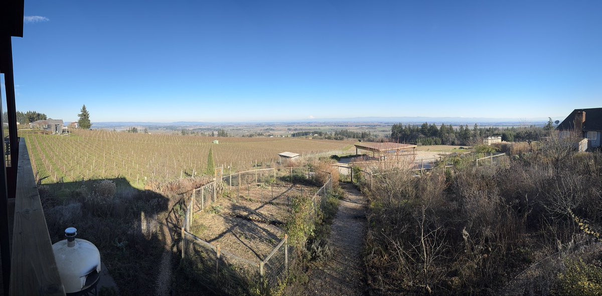 Michael Haley - UOregon Chemistry tweet media