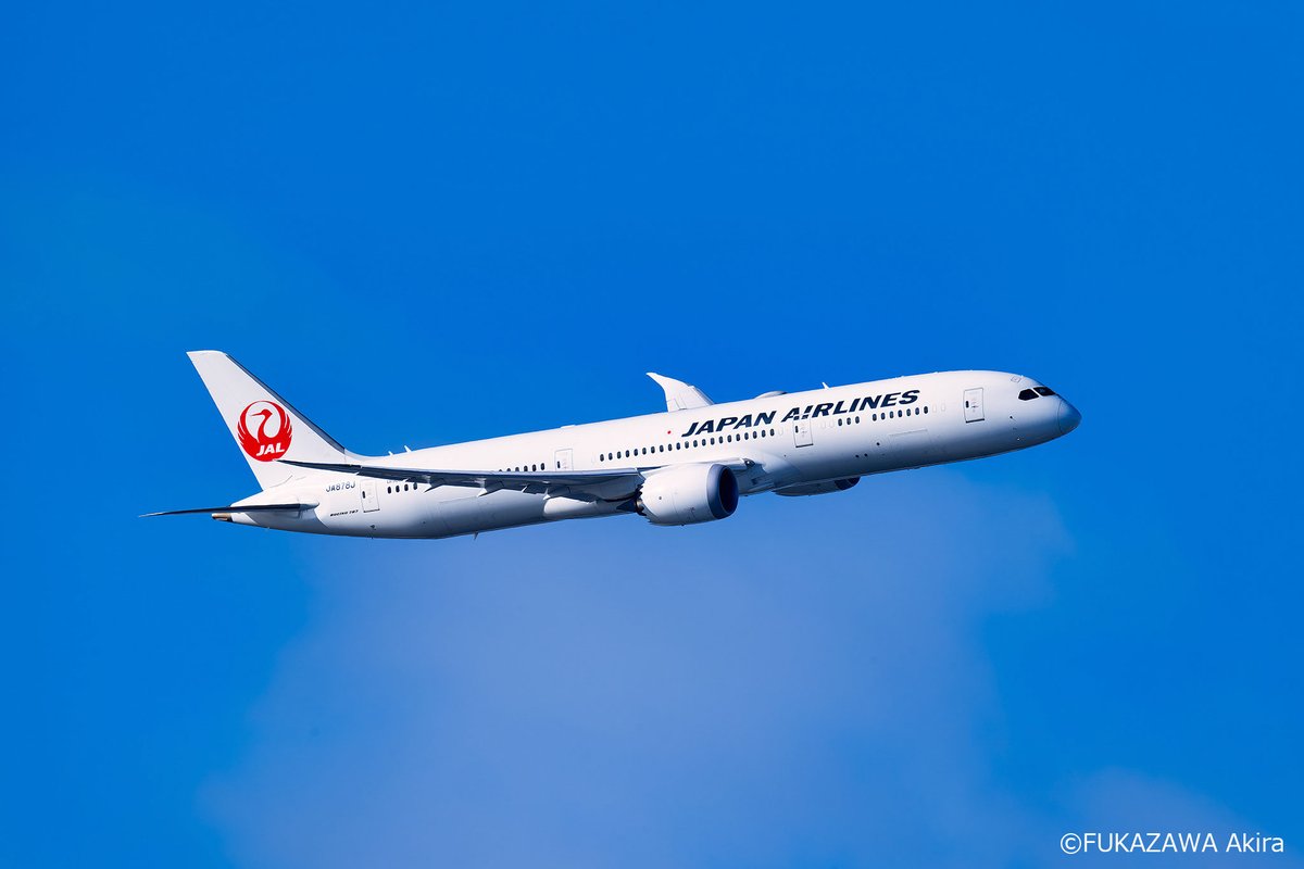 久しぶりに、国内の特典航空券を予約したら、変更出来なくなって、ほぼ