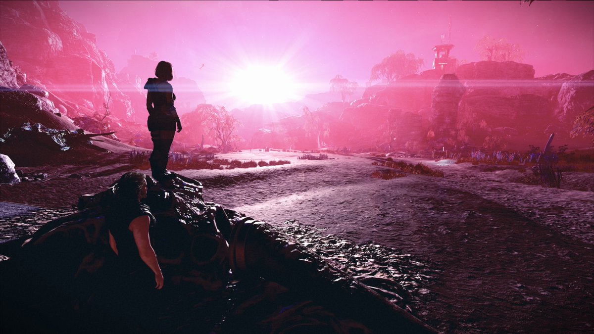 La Presidenta Lilu tweet media