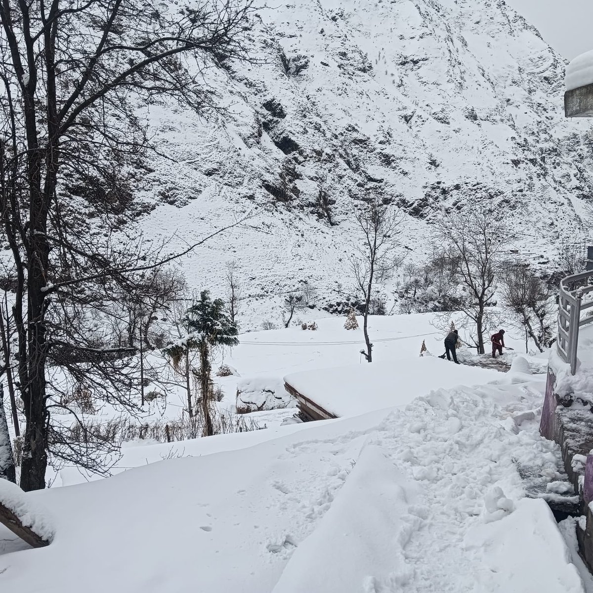 Shivani Vaid tweet media