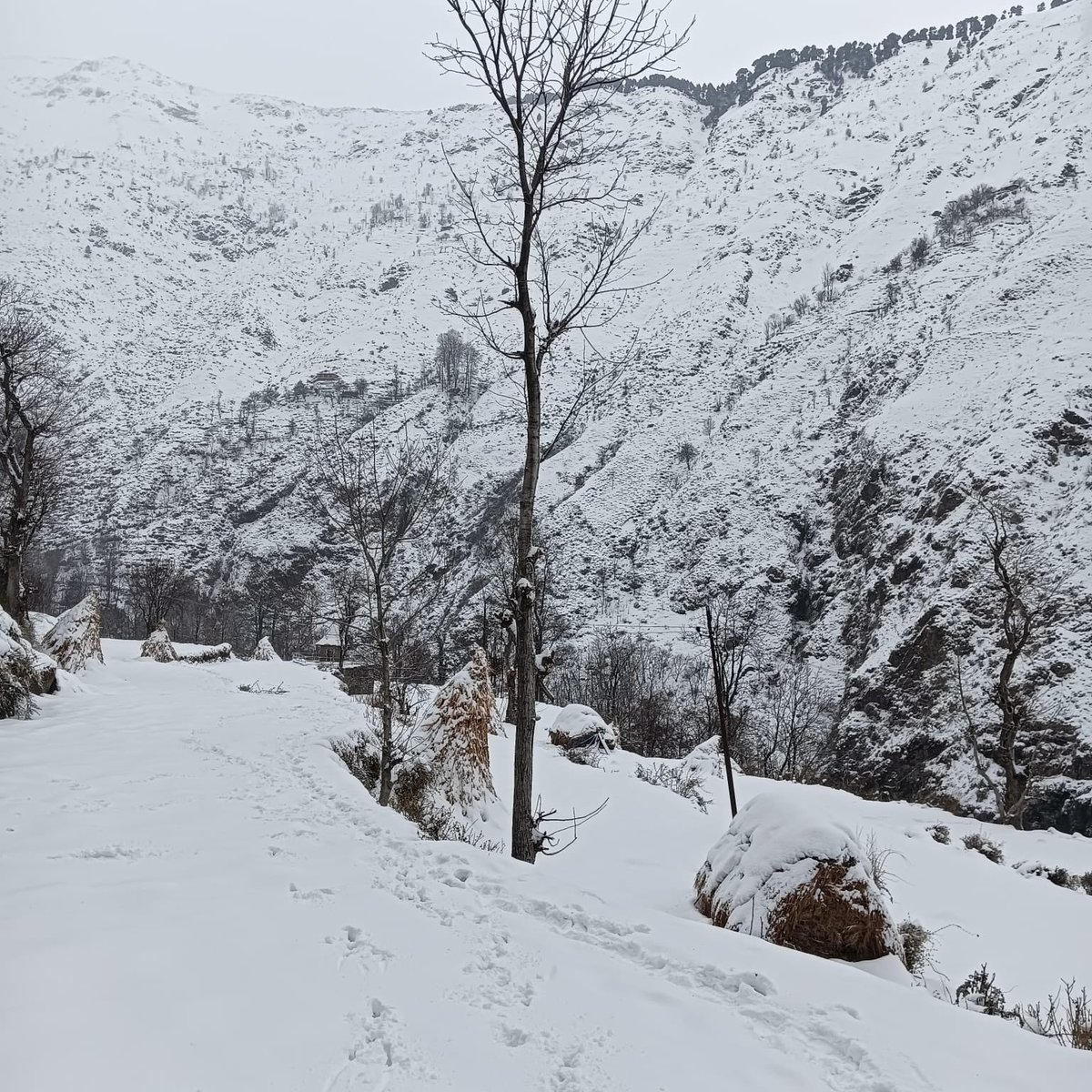 Shivani Vaid tweet media