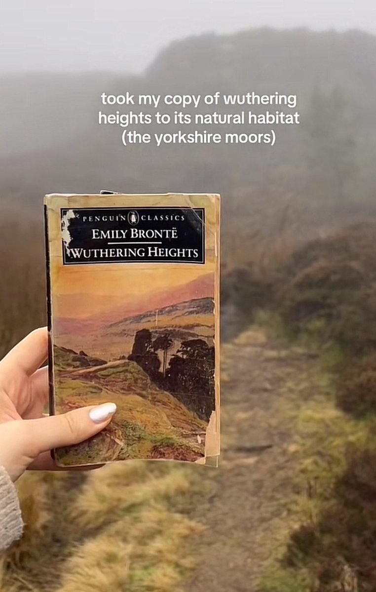 whotfisjovana's tweet image. ok i get why that place birth the best gothic novels