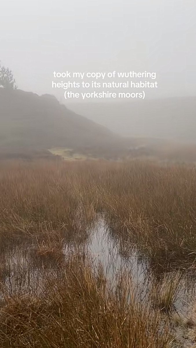 whotfisjovana's tweet image. ok i get why that place birth the best gothic novels