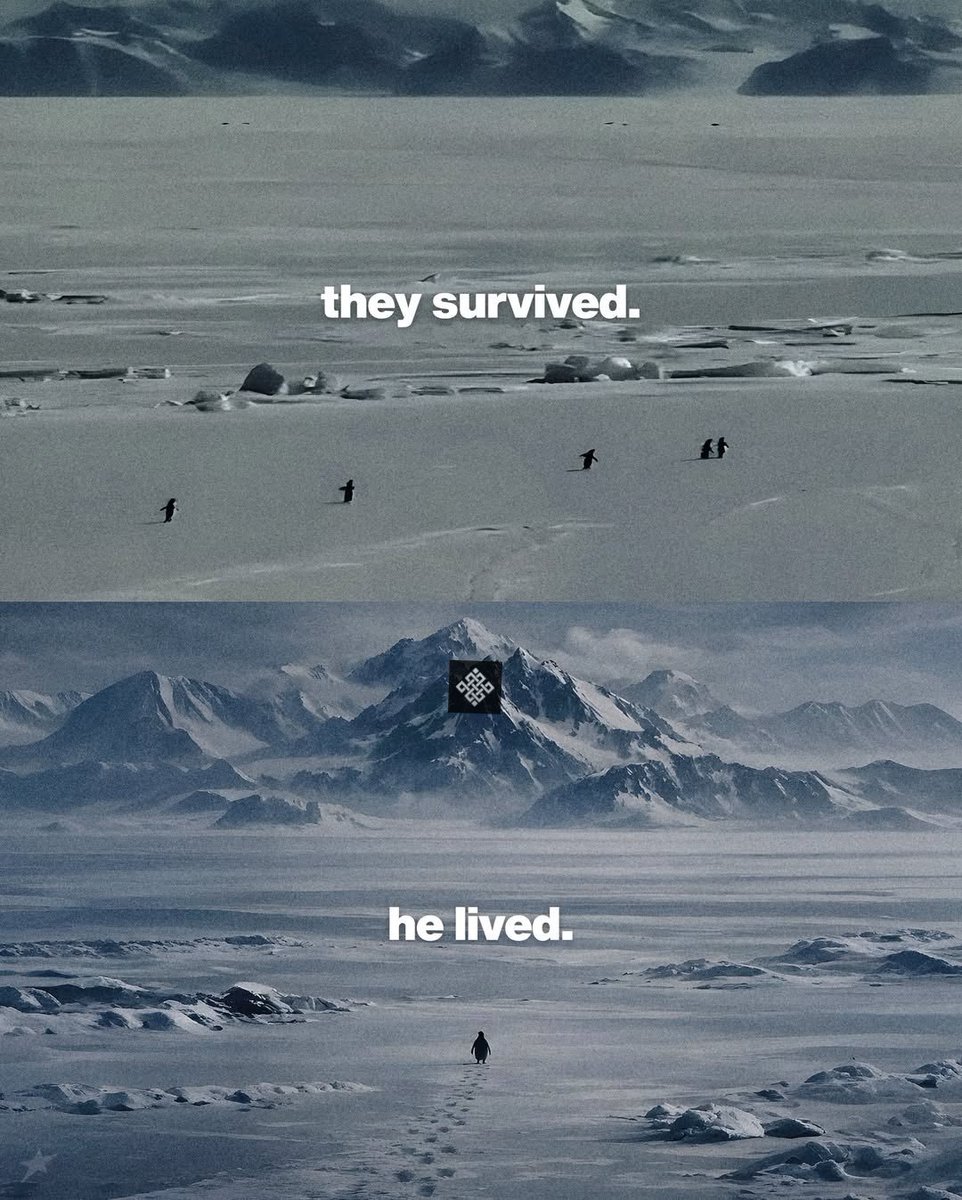 They survived with black-box models
He lived with verifiable AI execution ❖
<a href="/ritualnet/">Ritual</a>