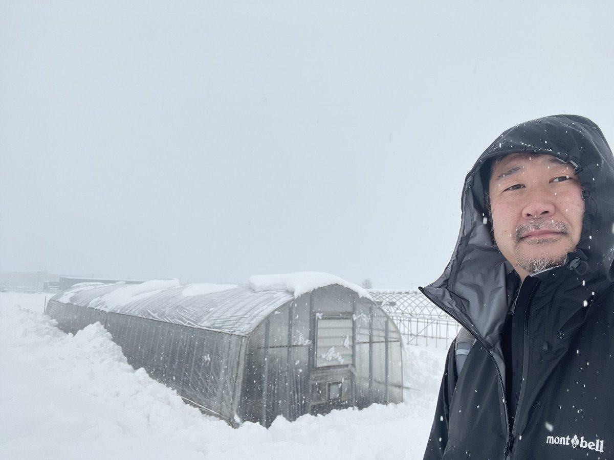 石川県野々市市に、かなりの量の雪が降りました。授業と学生さんの実験で使用しているミカンハウスが危ない状態に。雪かきが間に合って良かったです。農場の技官さんと学生さん、ありがとうございます。