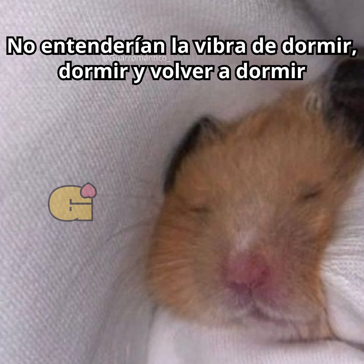 Guarromantico_'s tweet image. No entenderían.