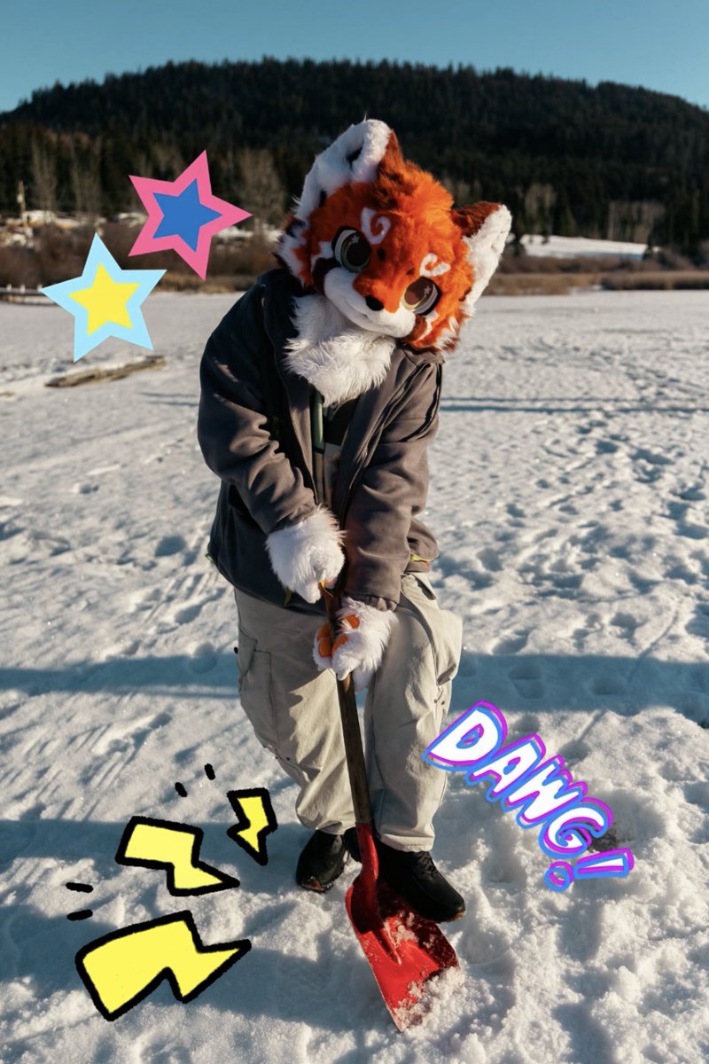 Pando盼达 tweet media