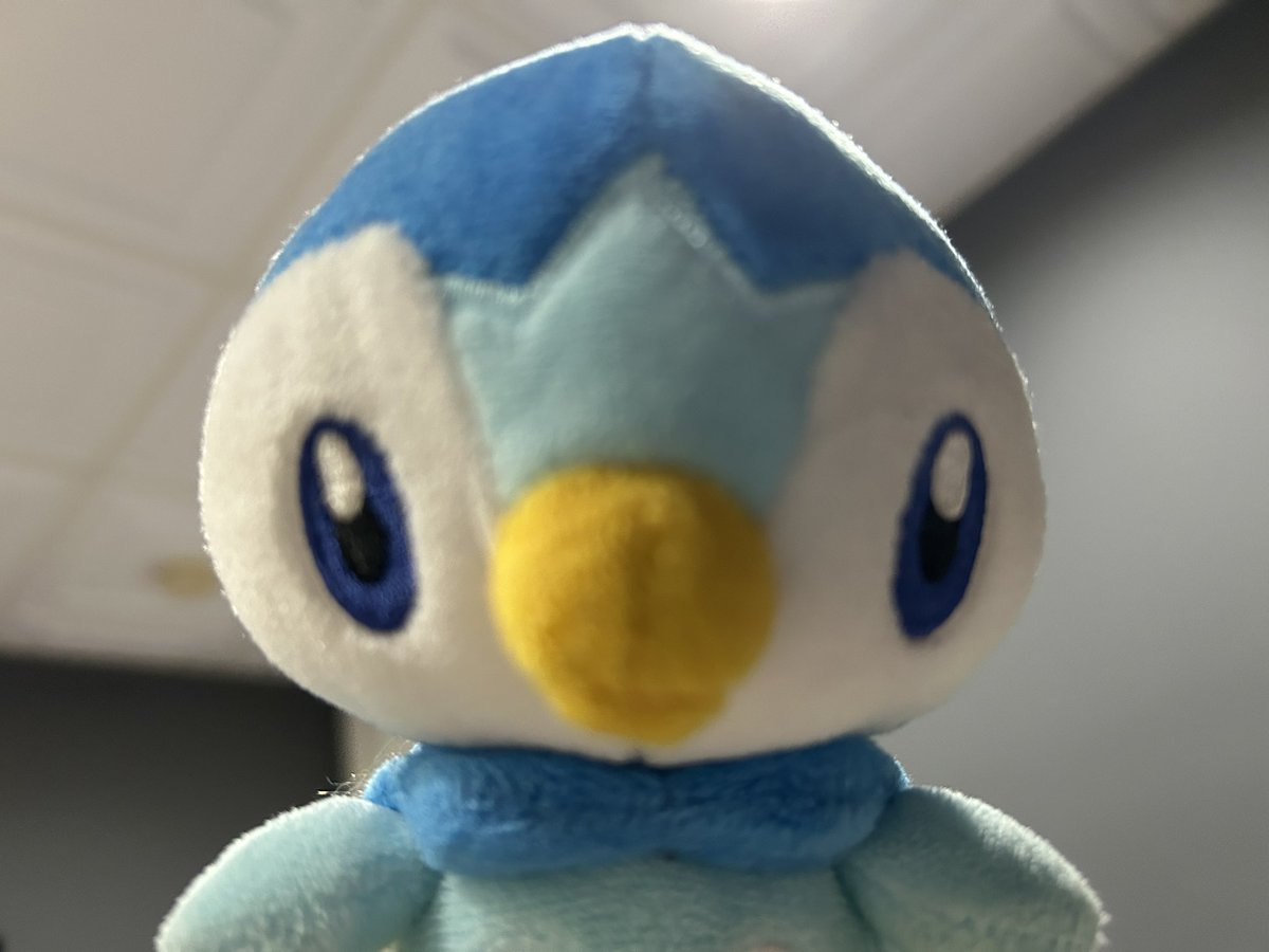 Piplup tweet media