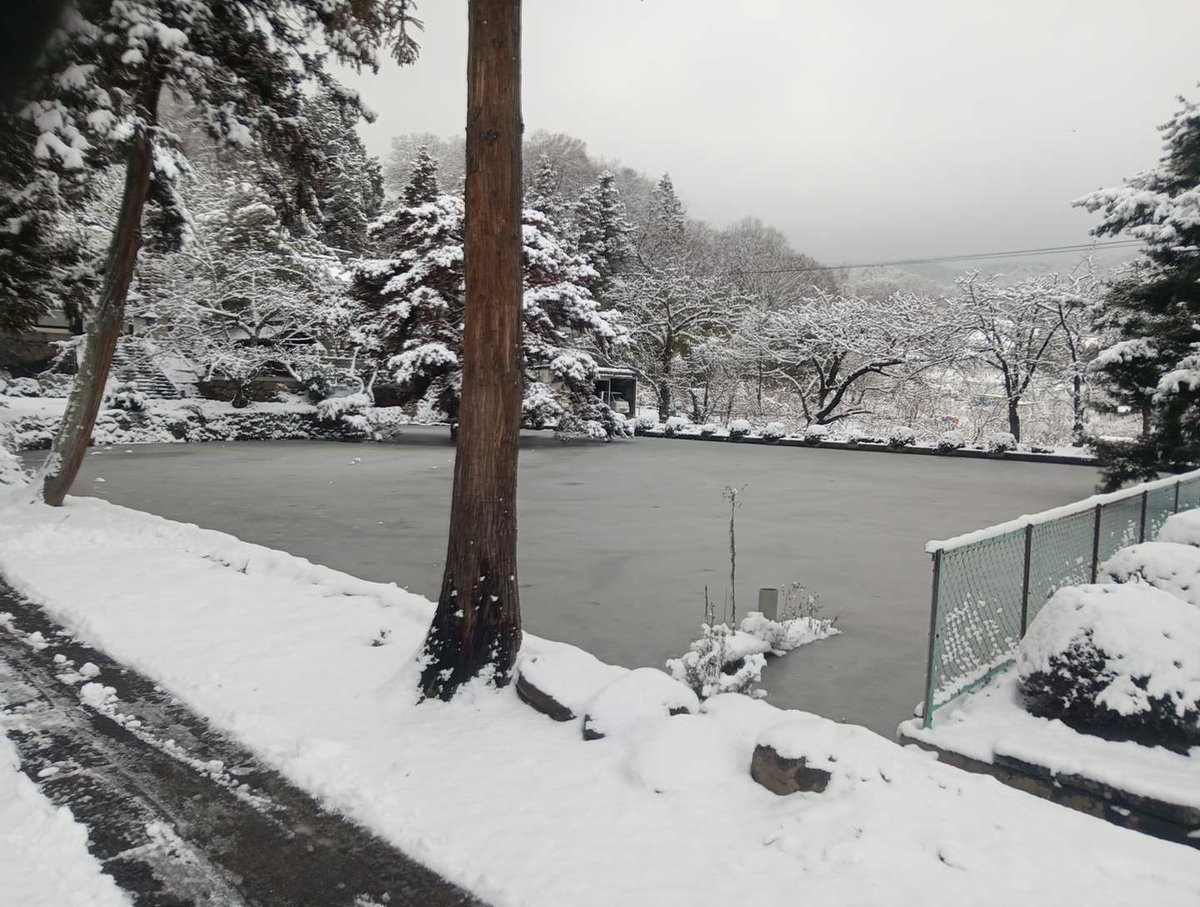Hubce12's tweet photo. お寺の池が雪で覆われていた。 https://t.co/jcTdsxTGcH