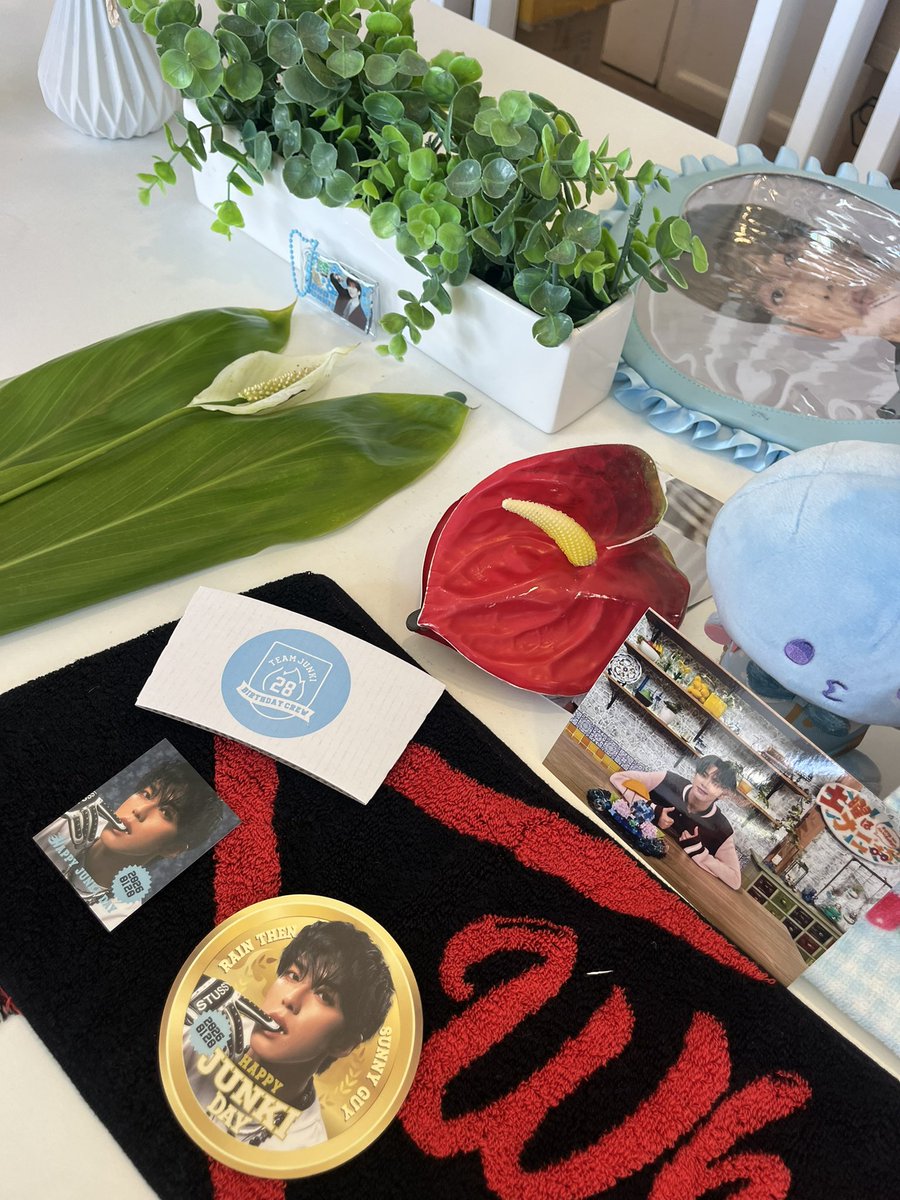 ichigokono's tweet photo. Hauʻoli Lā Hānau (happy birthday) Junki 🩵🌱 please come back to Hawaiʻi soon! Mahalo nui (thank you so much) to JAM house club for allowing me to host a bday cafe this year :’) 

#JO1 #JAMHouseClub #HappyJunkiDay #HappyJunkiDay2026 #河野純喜 @official_jo1 @JAMHouseClub https://t.co/gucgpCxwB8