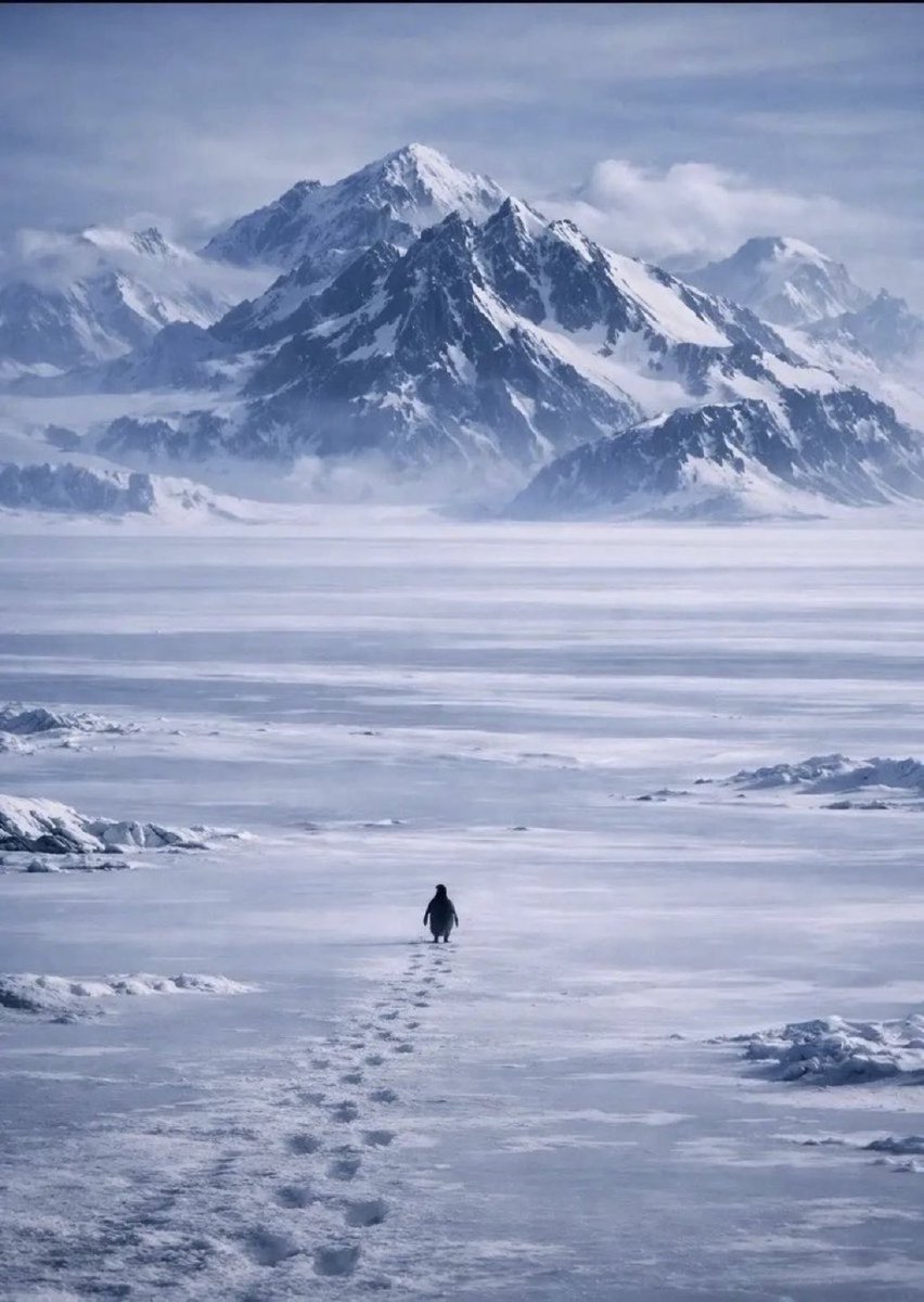 UpTheVariance's tweet image. the penguin resonates with generations all striving to achieve something more

more than a meme, rather, a movement

but why?

we play the game to find spots with uncapped upside and this is the first one that’s come around in a while