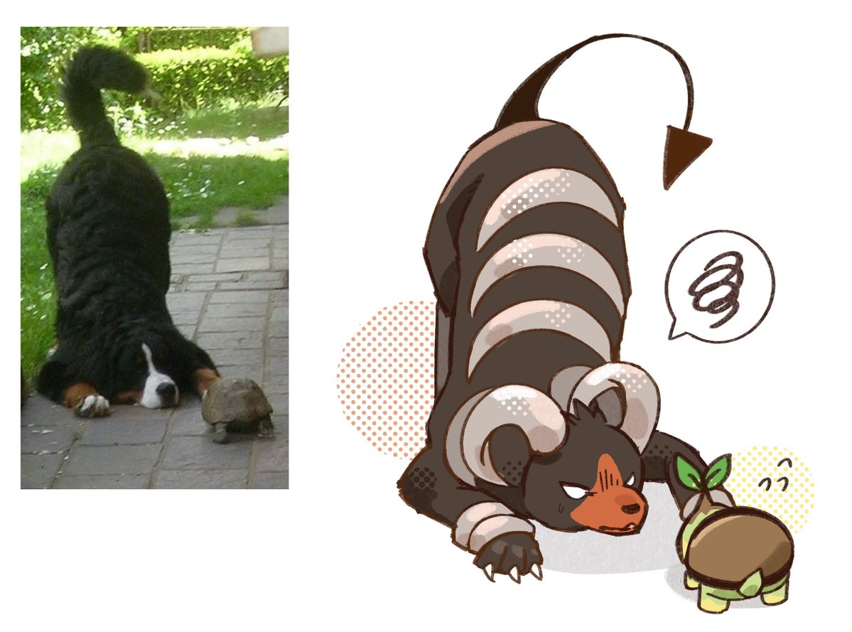 세타 セタ (@seta629211) on Twitter photo 