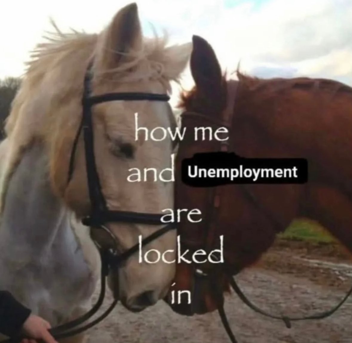 Fatima (@ozyvibes) on Twitter photo 