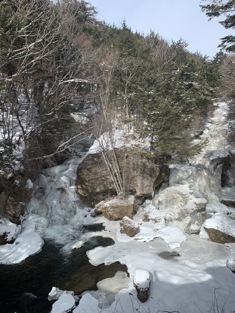 今年は次女がスキーデビューしたので、スキー場へ。でも、今日の湯元は寒すぎて、とっとと退散。地吹雪がやばかった😅竜頭でお雑煮食べて、温泉♨️入って帰ります。