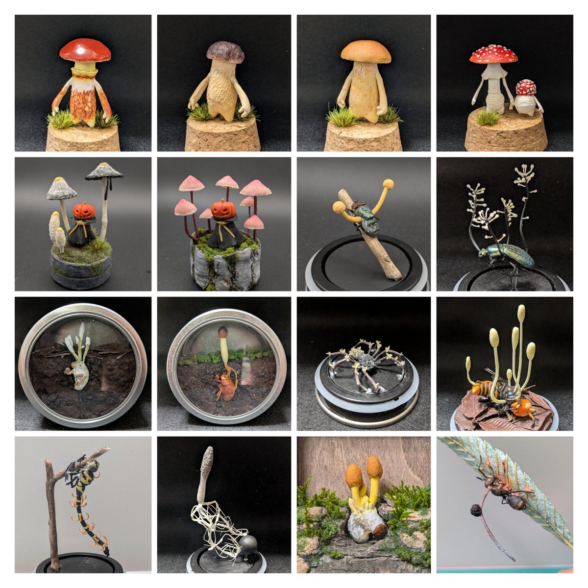 きのこのシロ (@kinokonoshiro) / Posts / X