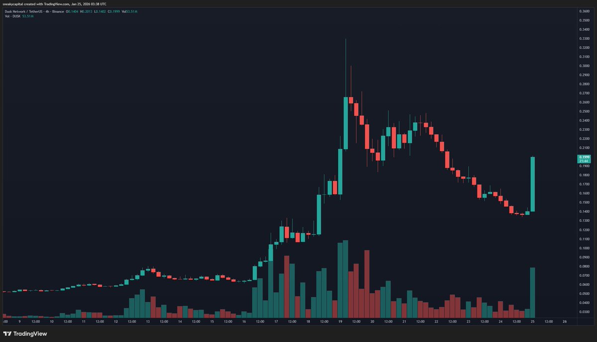 sneaky 🛡️ tweet media