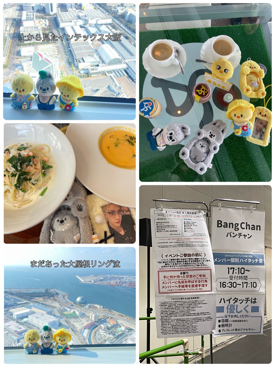 ☻︎きゆ키유 🥠🌵* ♚︎‧*˚‧₊˚ ♕︎ tweet media