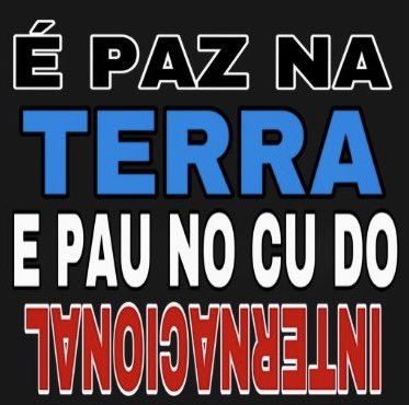 mimindogremio's tweet image. 