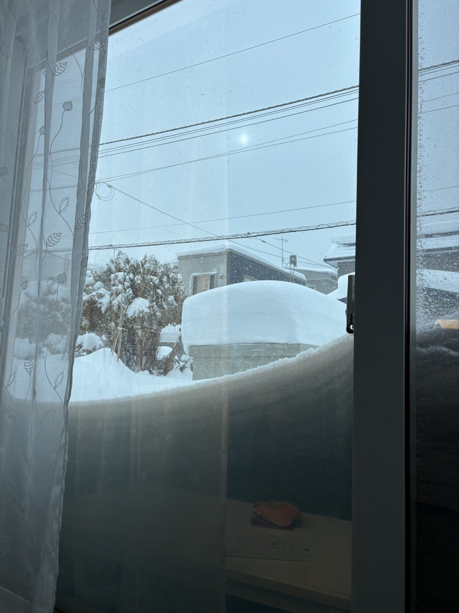 HAM_knct's tweet photo. こちら北海道の一般家庭リビングから見える景色です。
奥に見えるのは物置豆腐ケーキ。 https://t.co/obsEulT2lQ