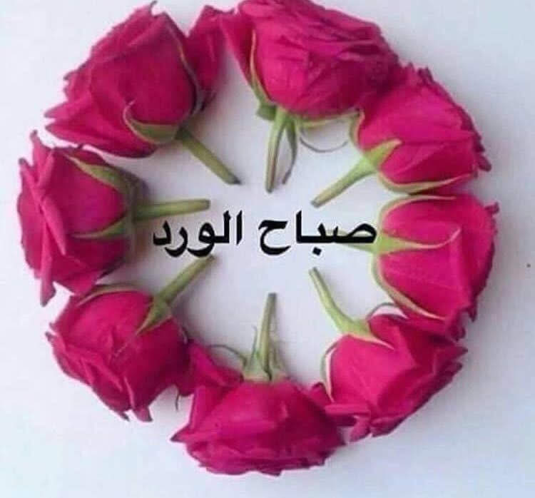 صباح الأمل الذي لا يخيب، والسعي الذي لا يضيع🙏🏻🌸🍃