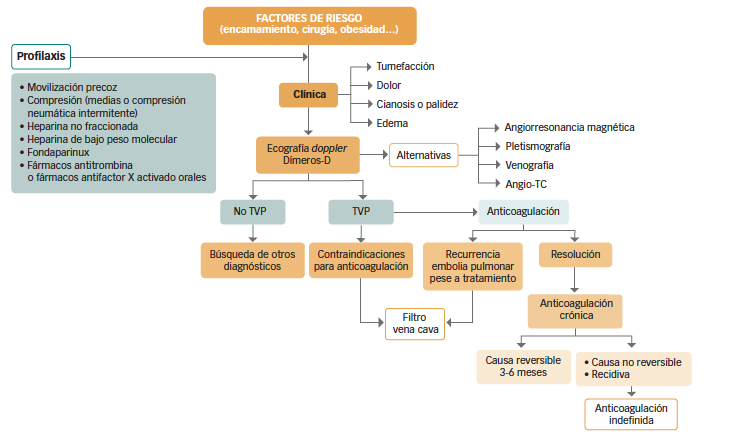 Felipe Díez del Hoyo tweet media