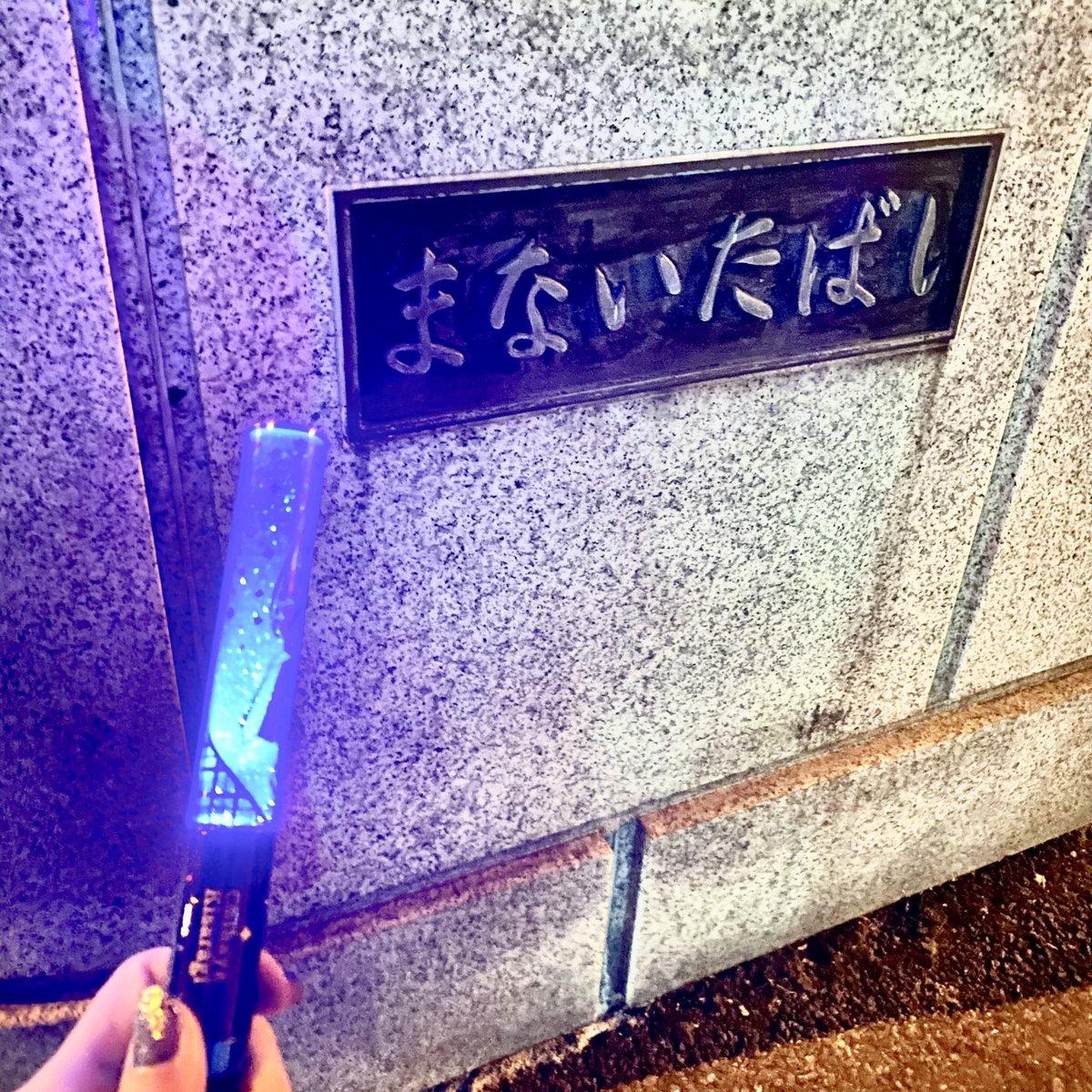 武道館近くの橋の名前、まないたばしっていうんですね