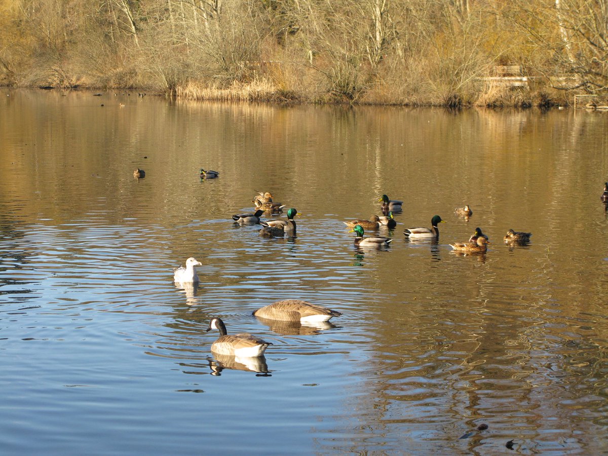 지구가 좋다고 말해
ㄴ 지구가 좋다

📸캐논 파워샷 G9