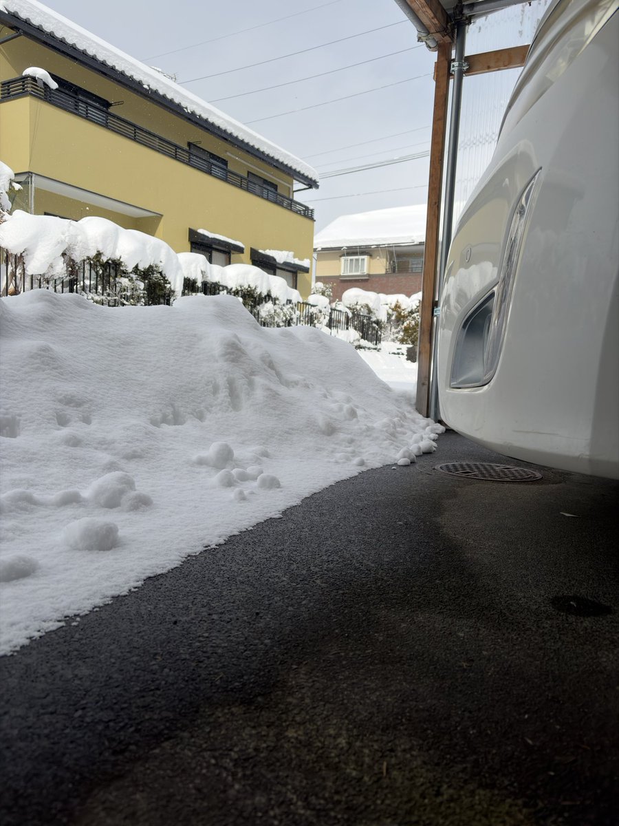 echo7758's tweet image. ちーん