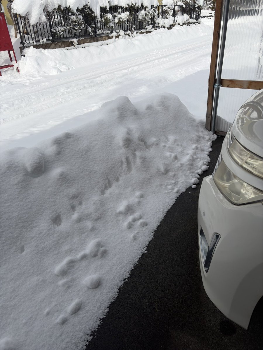 echo7758's tweet image. ちーん