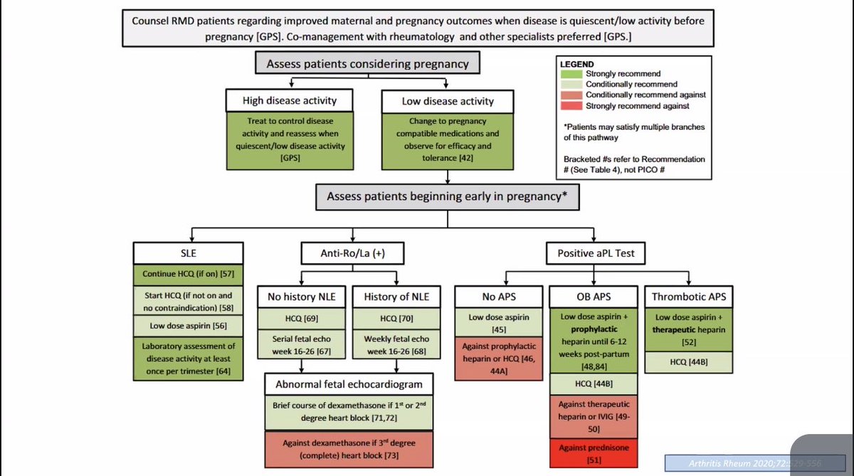 hanadymanasfi's tweet image. #pregnancy #counseling
#RMD #patients