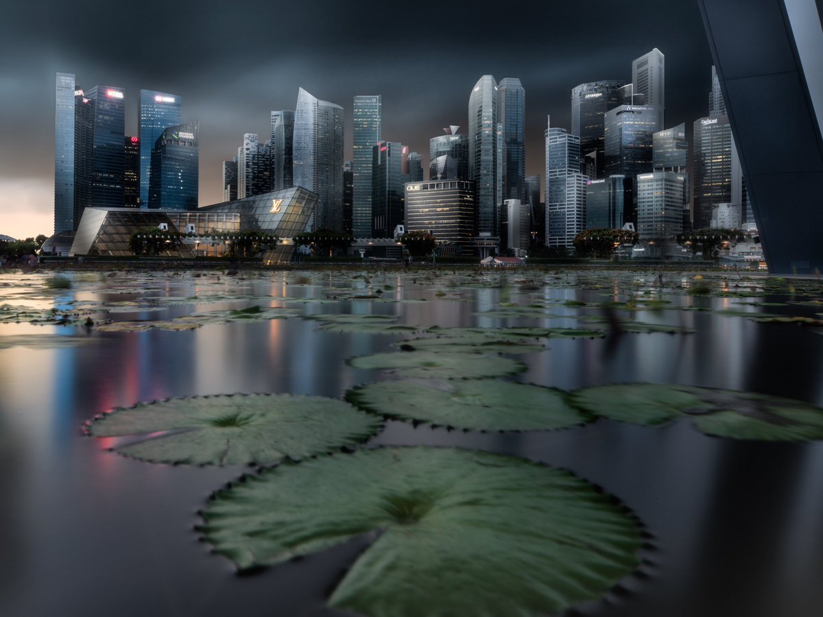 Amatou | あまと〜 (@amatou_0429) / Posts / X