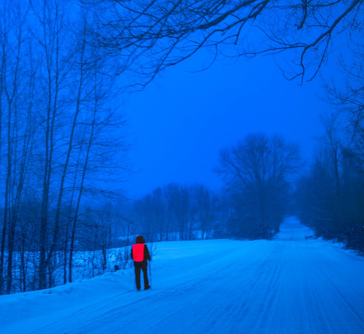 fotogosaurus's tweet photo. morning stroll below zero https://t.co/qHCWnxN0sZ #VT #Vermont #newEngland #Winter #BelowZero #walk #stroll #morningStroll #moment #January #onTheRoad #EarlyAM #earlyMorning #think #reflect #Wonder #CountryRoad #headingHome #Canon #ruralLife https://t.co/jIP2rEAYUh