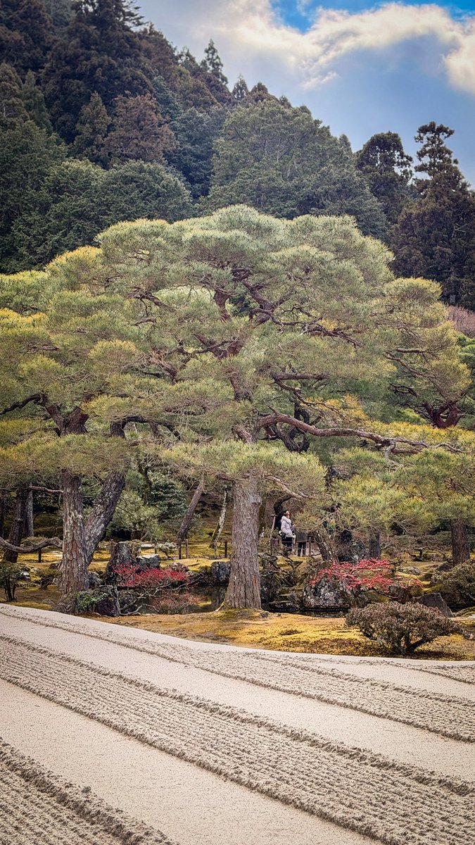 มายเนมอีส “สายันต์” tweet media