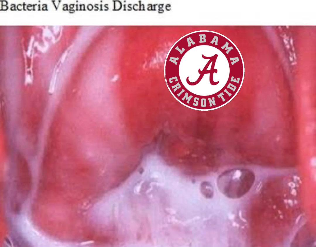 Robert McVol tweet media