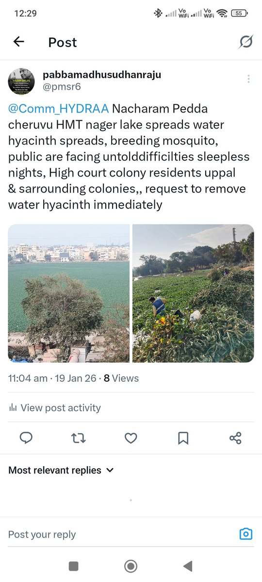 pmsr6's tweet photo. @revanth_anumula ,sir NACHARAM PEDDACHERVU HMT nager, water hyacinth spreads, mosquito menance untolddifficilties sleepless nights public are facing, tough time to enter into houses of High court colony uppal,&amp; chilka nager area , request to remove water hyacinth,no of complaints https://t.co/8zdvHevTD3