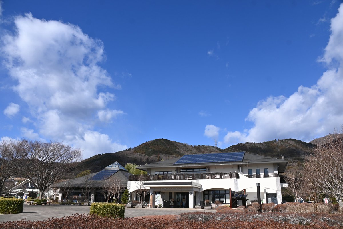 HadanoVC's tweet image. 8時40分の気温1.8度　晴れ
秦野戸川公園周辺は、気温が低く冷たい風が吹いています。雲が少し広がる時間もありますが、#二ノ塔、#三ノ塔 や #大山 の山並みは見えています。
園内では #メジロ や #イソヒヨドリ の姿を観察できました。